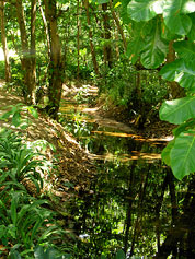 River near Borb Mer